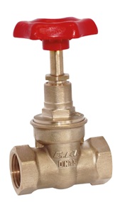 ECA ŞİBER VALF PN25